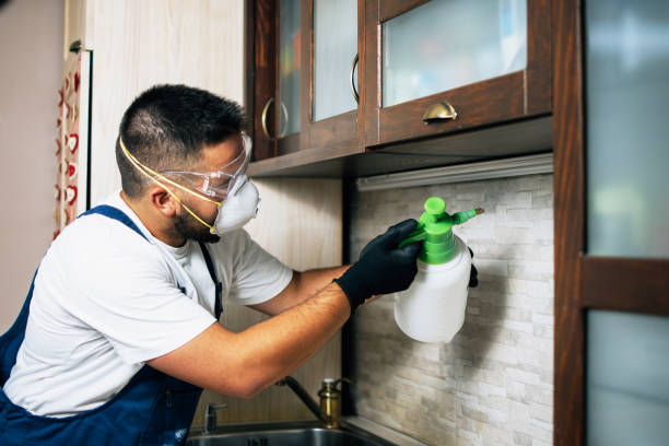 Best Mosquito Control Services  in Southgate, MI