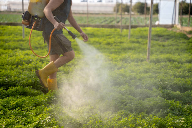 Best Insect Control  in Southgate, MI