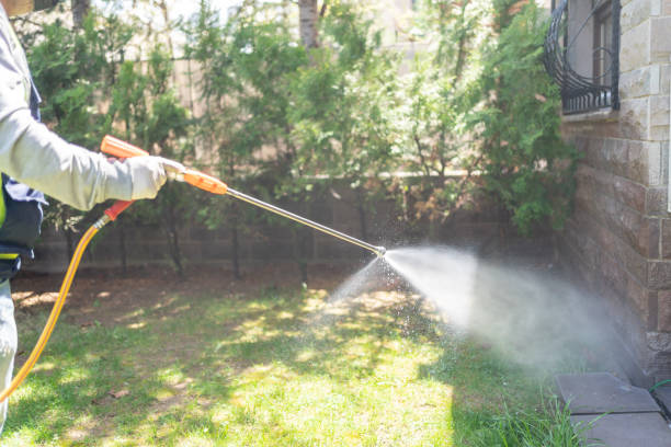 Best Affordable Pest Control Services  in Southgate, MI