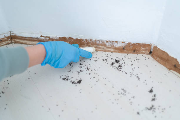 Best Best Pest Control Companies  in Southgate, MI