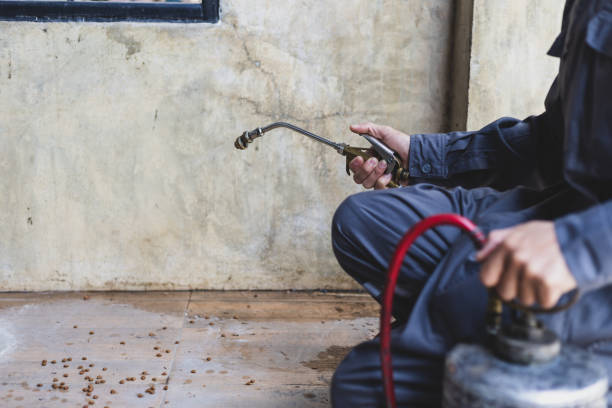 Best Pest Control for Homes  in Southgate, MI