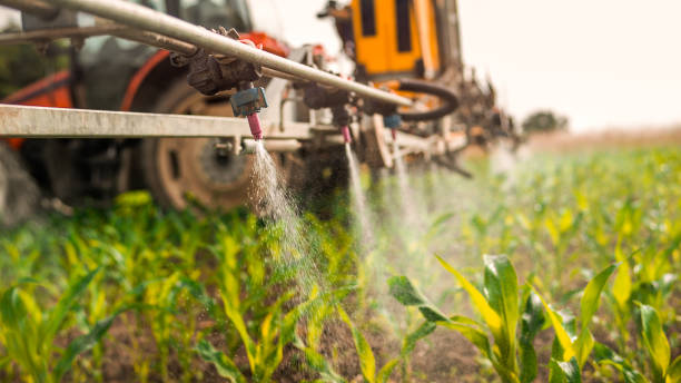 Best Pest Control Cost  in Southgate, MI